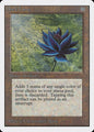 Black Lotus - 2ED