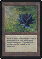 Black Lotus - Alpha